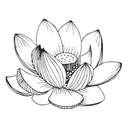 Icône fleur de lotus : inspiré de la nature